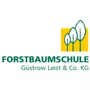 Forstbaumschule Güstrow GmbH & Co.KG logo